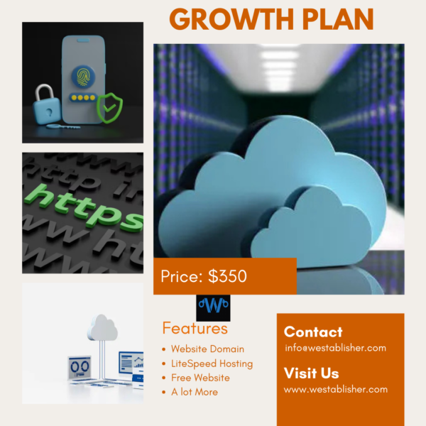 Ideal for multiple sites needing storage, security and backups. No SEO Services & Sales Funnel Provision