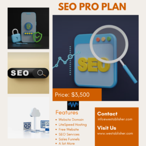 SEO PRO PLAN Great For Businesses That Want To Grow Faster. We Offer 3 Months SEO Services & Sales Funnel Provision